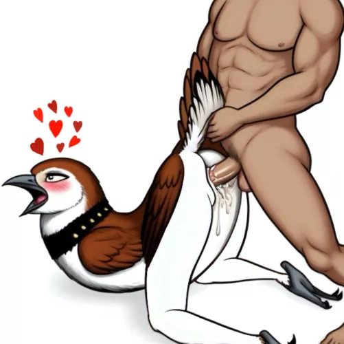 How to please your pet bird