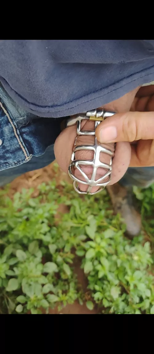 I wish this was a video and not a photo. So everyone could hear the backhoe and crew working in the background. 