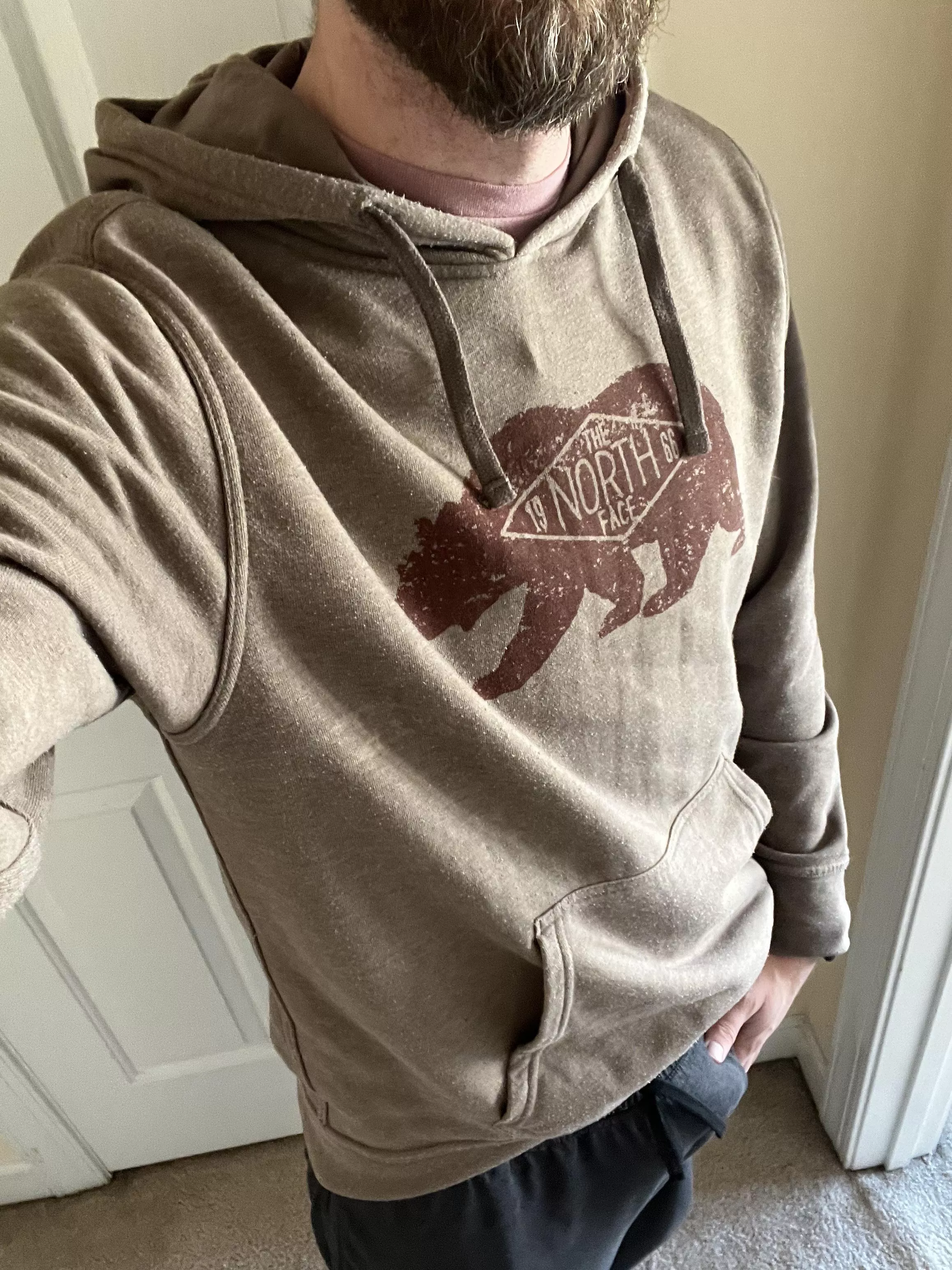 I'm so easily distracted when I WFH