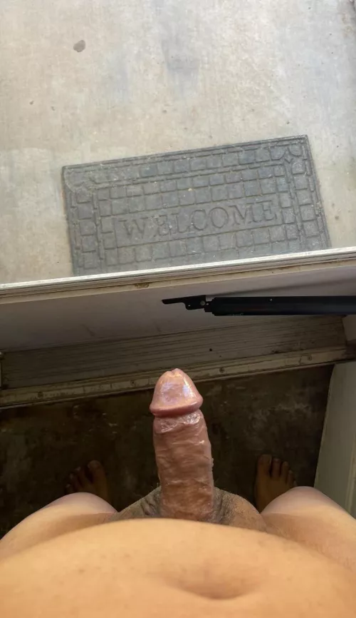 Just a little morning wood 🪵 here… 