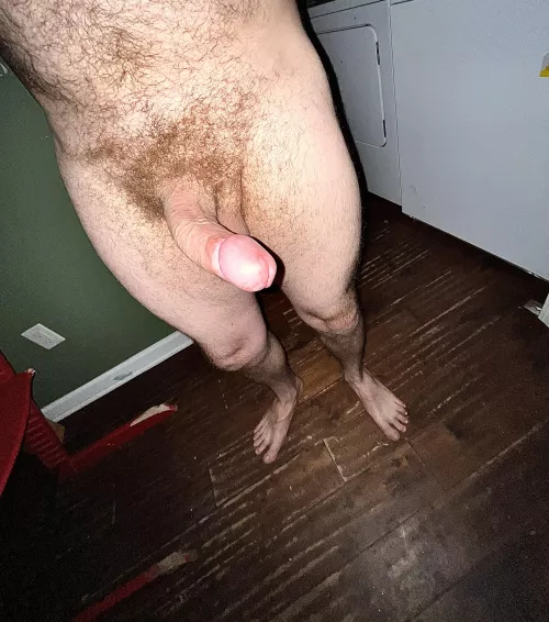 Lapeer Michigan hard cock looking for fun. 