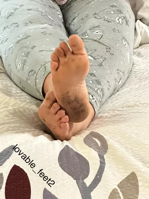 Long day of walking. You can clean them while I watch 😊