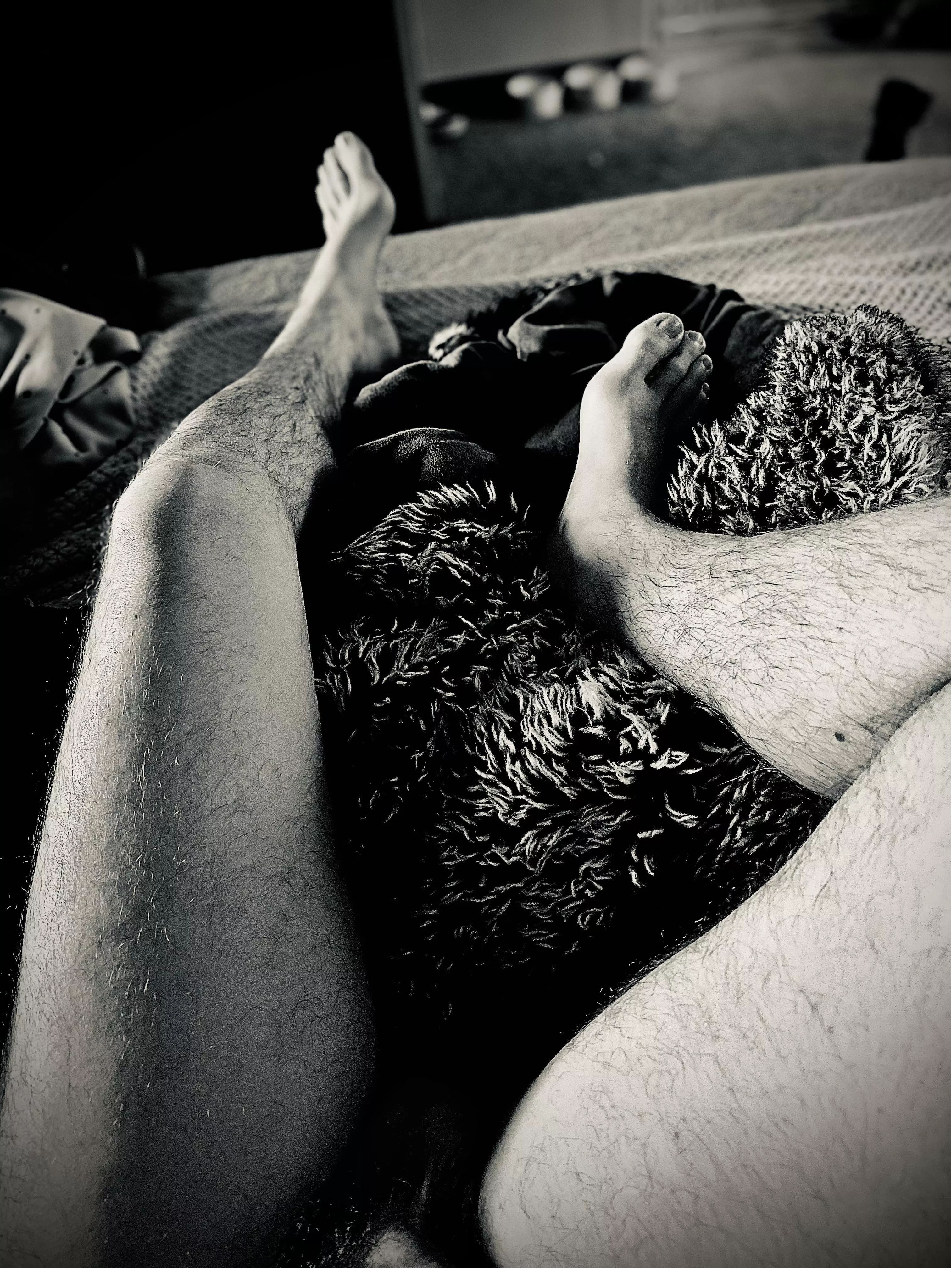 Looks like its a chilling in bed kind of day