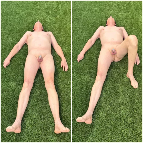 Lounging in the grass