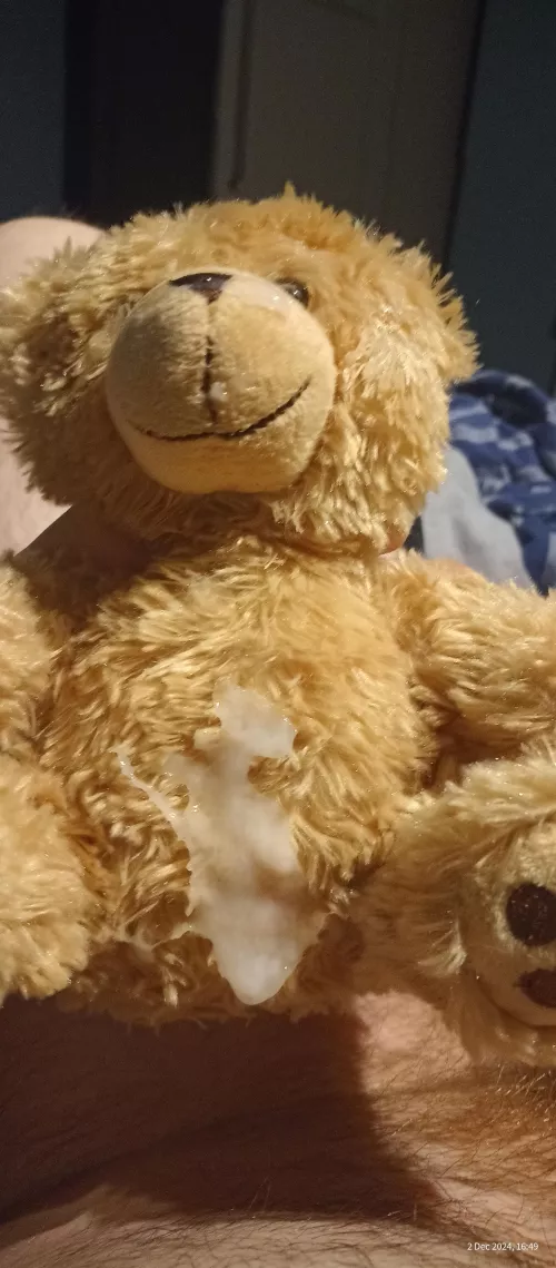 New teddy
