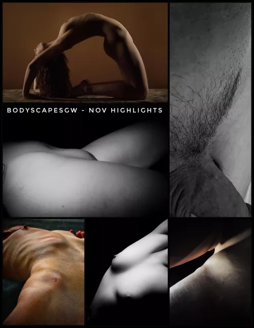 November highlights 🖤🩶🤍