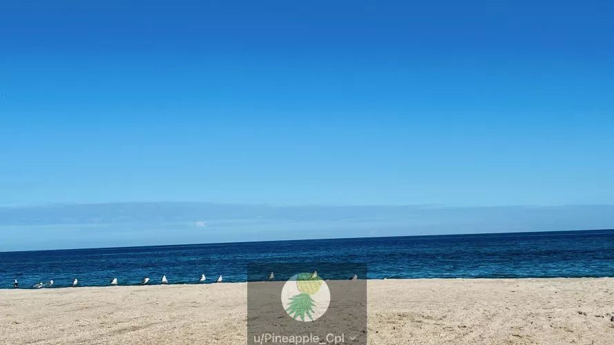 Perfect Day At Playa Today :) 