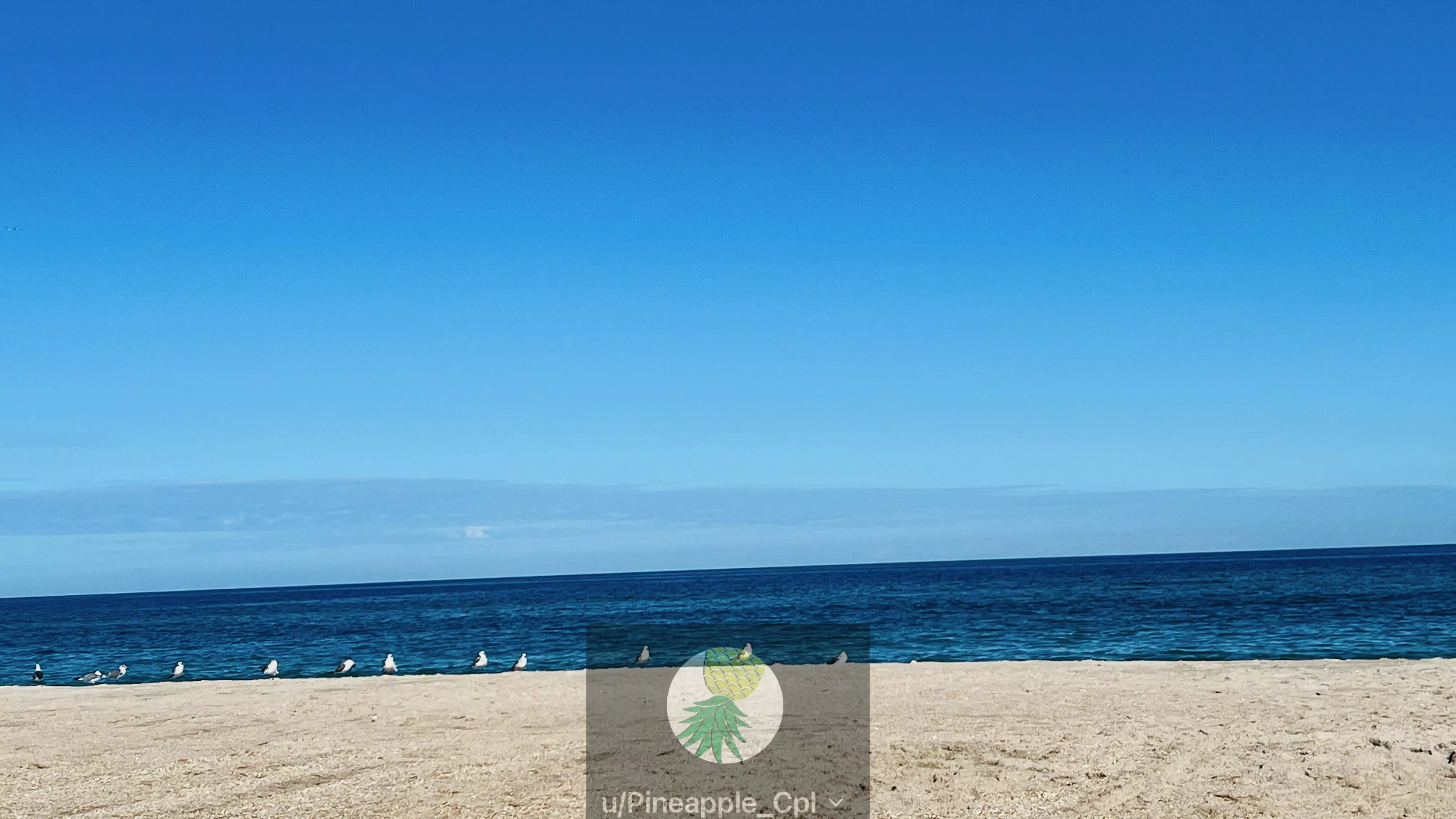 Perfect Day At Playa Today :) 