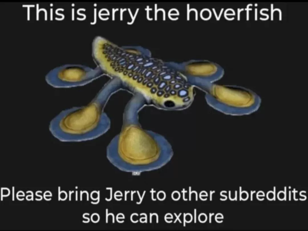 please say hi to jerry and bring him around