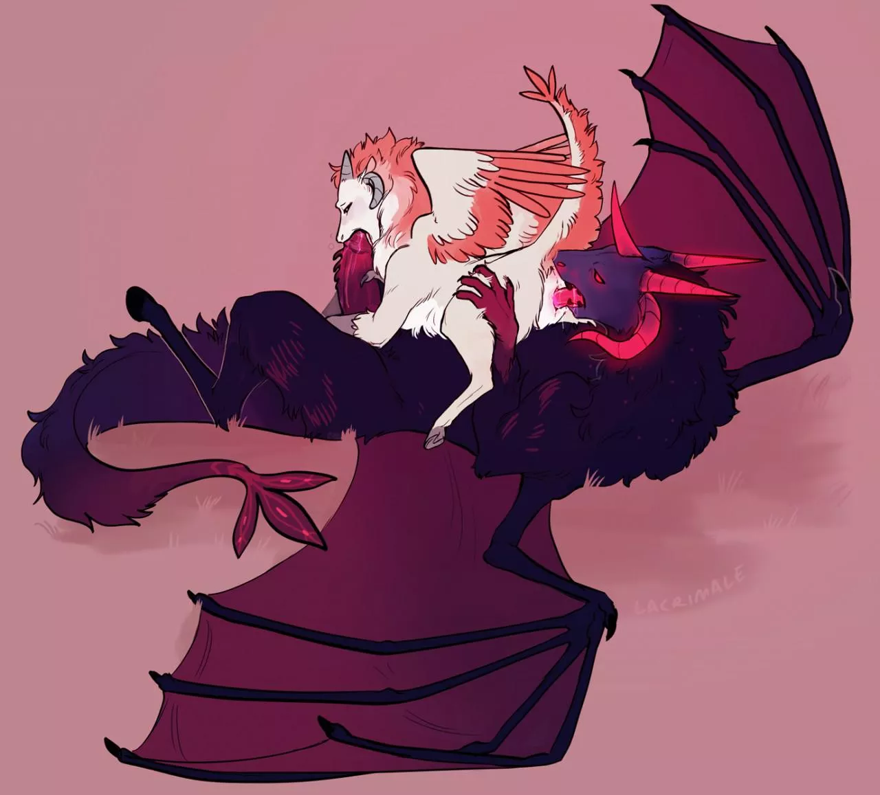 Smaller on top [MF] (lacrimale)