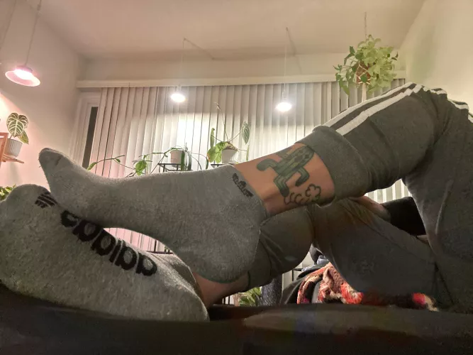 Socks 🧦 