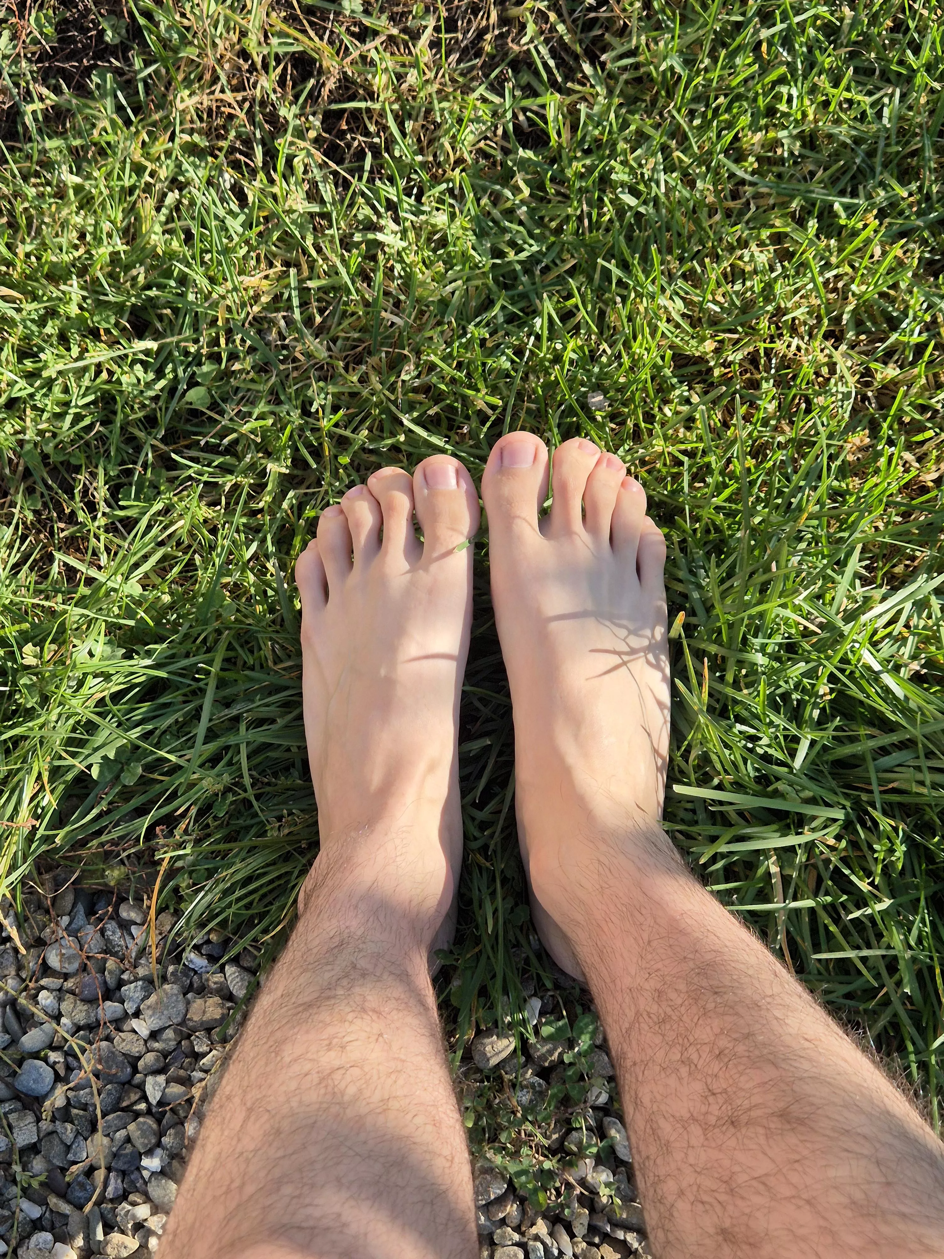 Sunny Day in December