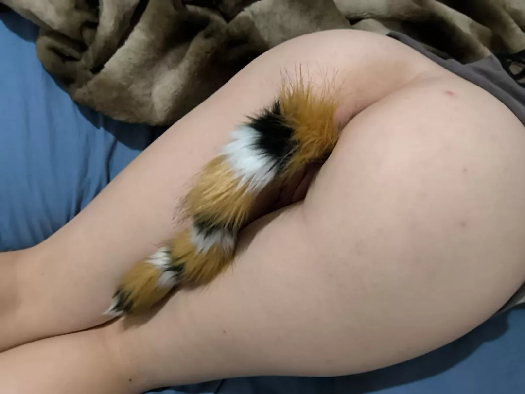 Tail in bum bum