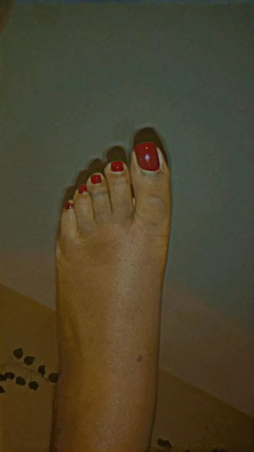 Tell me how pretty they are