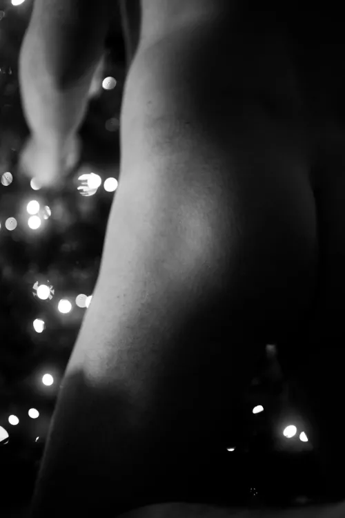 Time to erect the tree