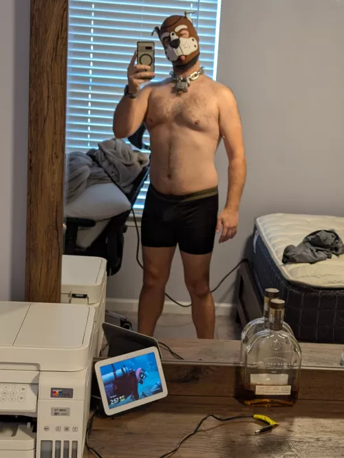 Was Cleaning My Room and Fell Into My Gear Box 😵