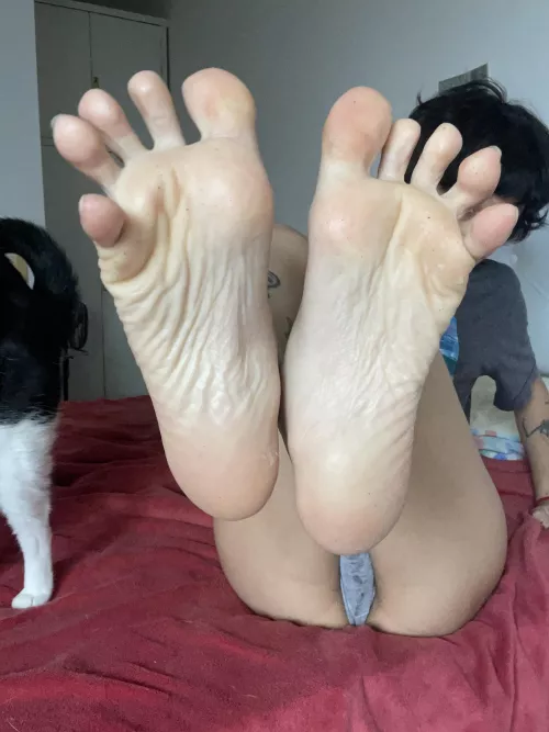 What would you do with my dirty feet after being barefoot all day?