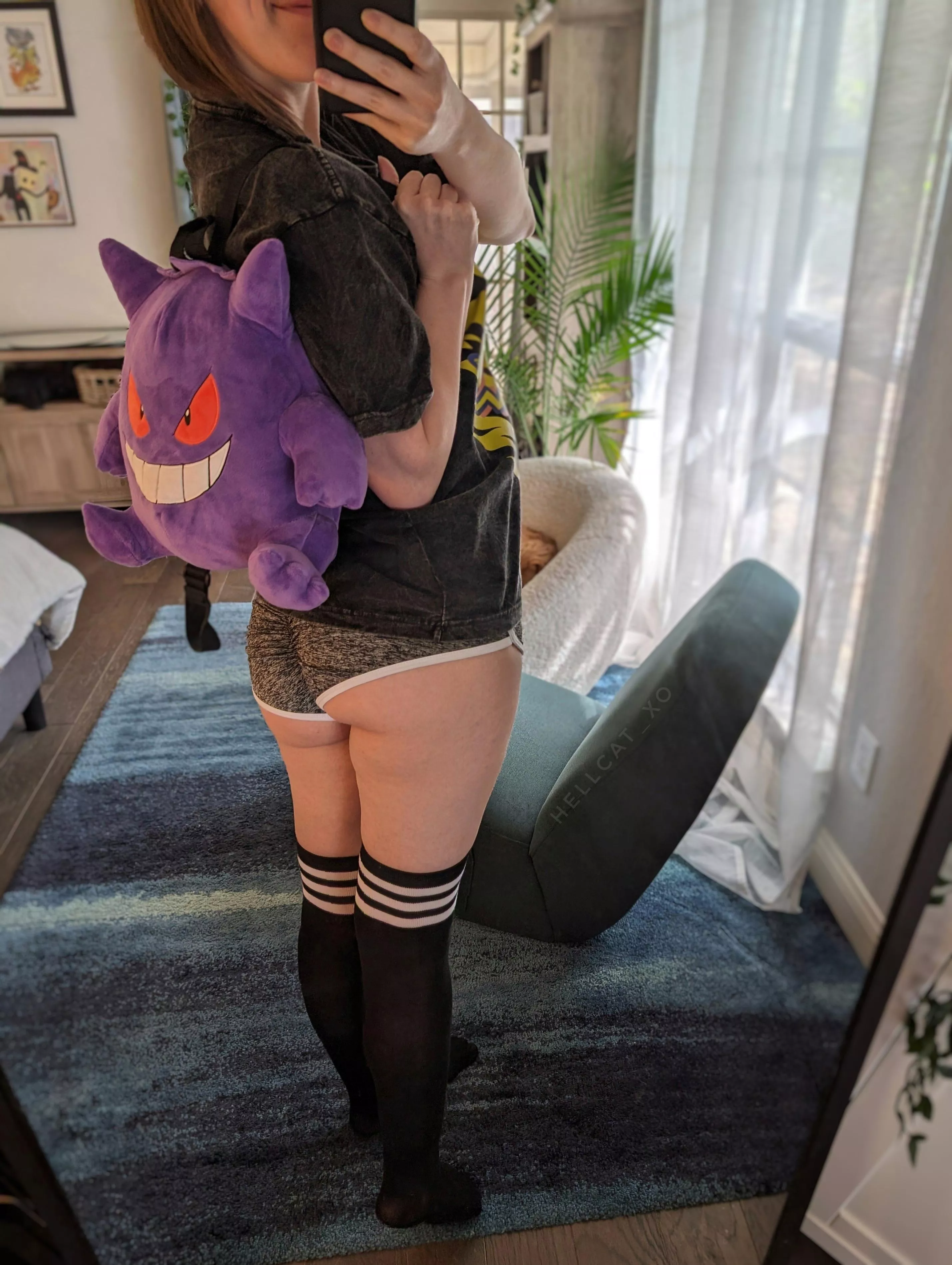 which pokemon should we bring on our adventure 