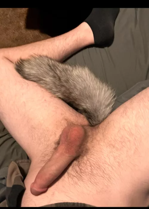 Would love to meet another wolf😉