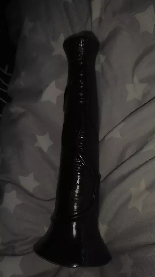 [20] New dildo