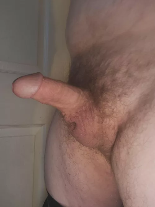 23M4F 6in. meet at pleasures on platte for breeding kink dm me for creampies
