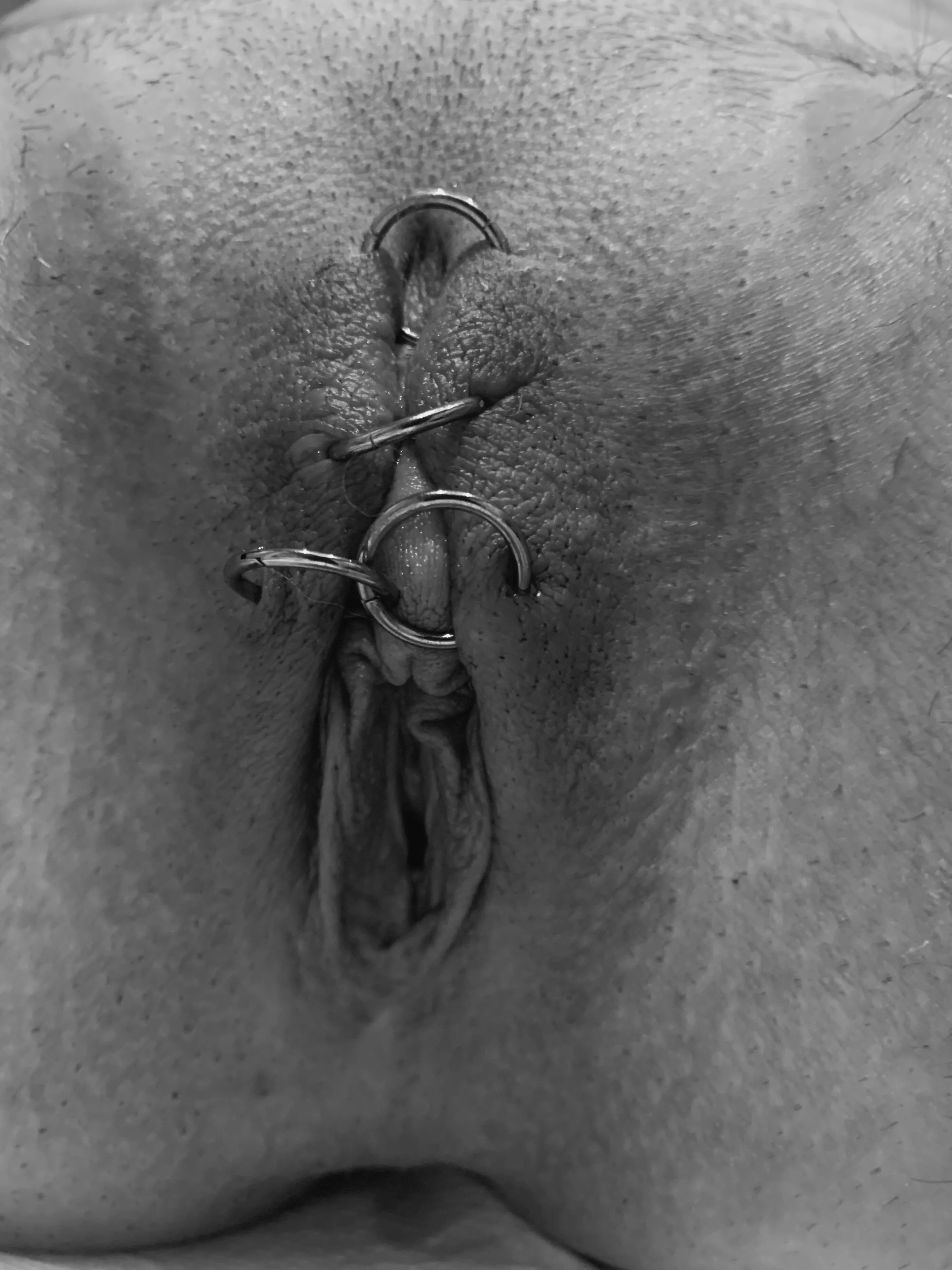 another set of piercings done. getting closer to saying farewell to clit 