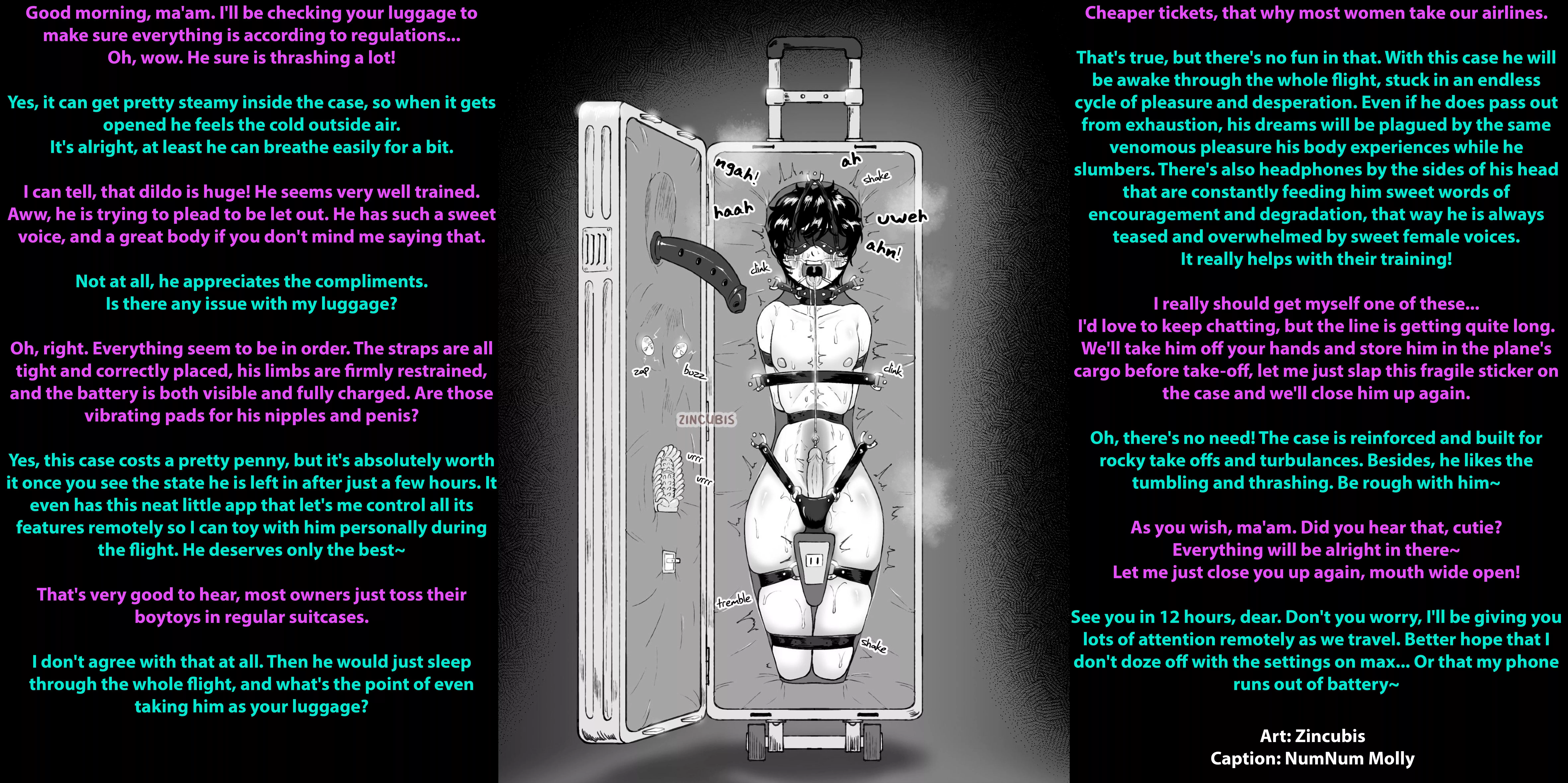 Boy-Luggage Airlines [Femboy][Femdom][Bondage][Luggage][Encasement][Dilgo Gag][Vibrators][Blindfold][Artist: Zincubis]