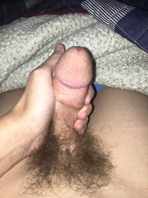 Free pic! Is it small? DMs open!