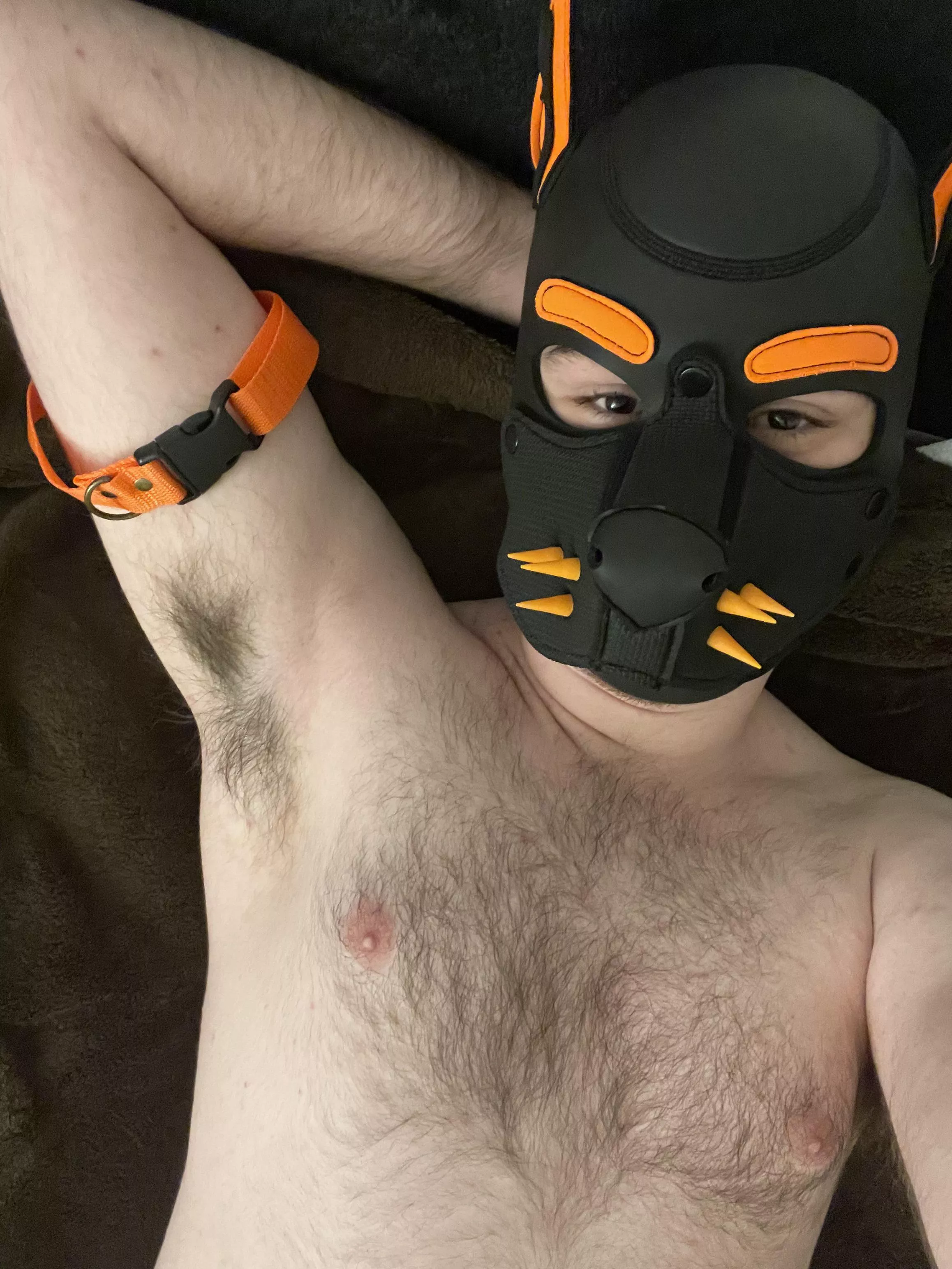 Get so lost in my scent you don’t even notice I’ve put the collar on you 😈