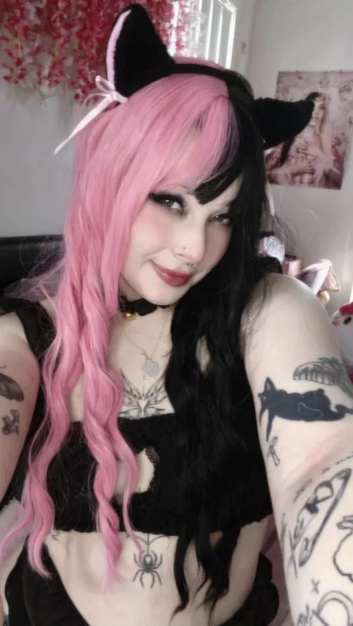 i heard your looking for a new fav slut