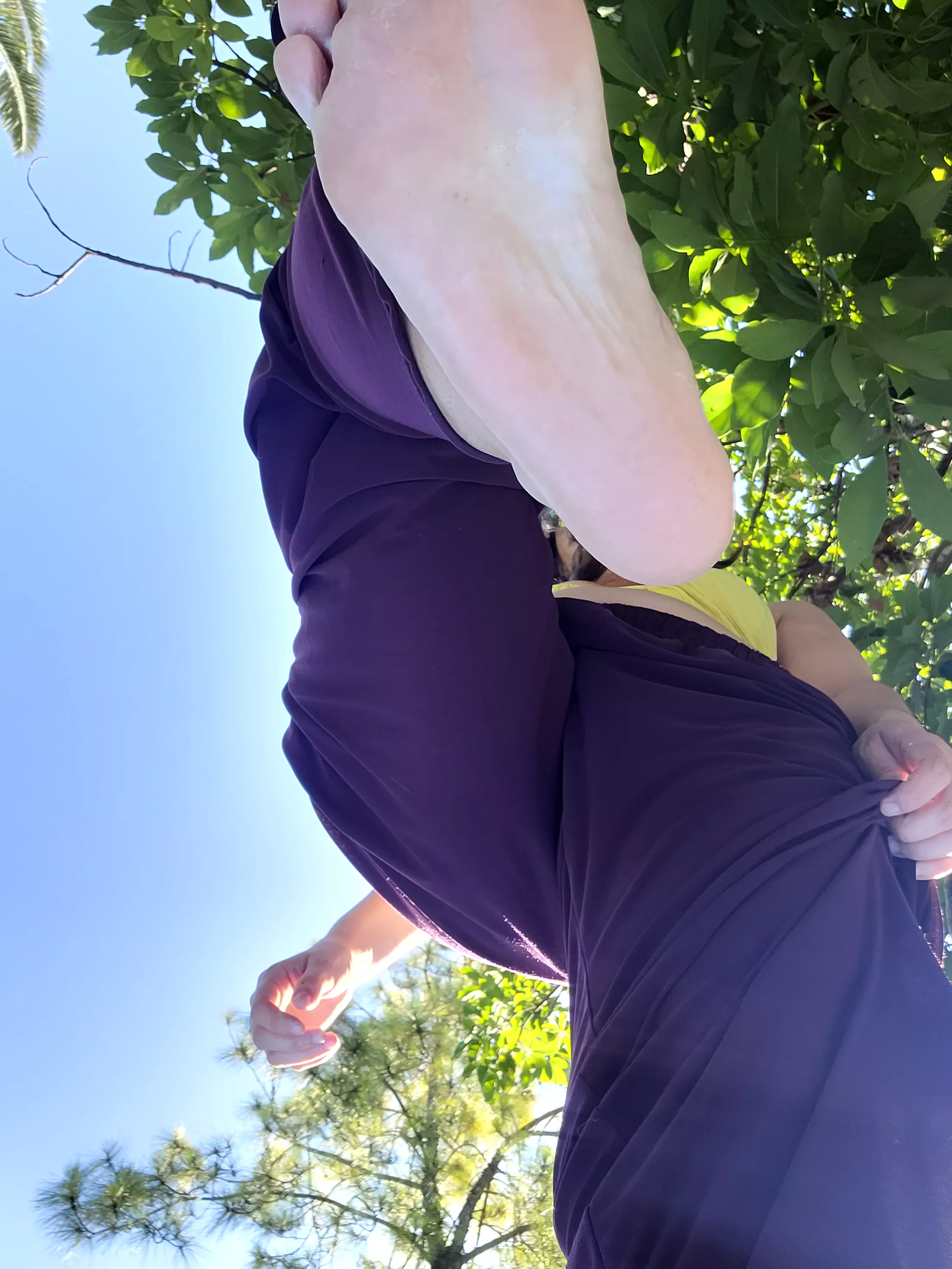 I saw you in my garden and decided to know what it would feel like to crush you.