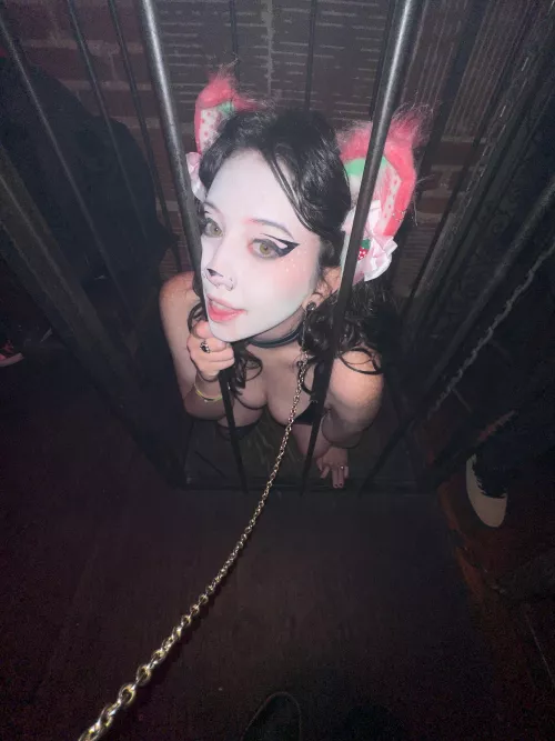 I swear I’ve been good let me out please!!