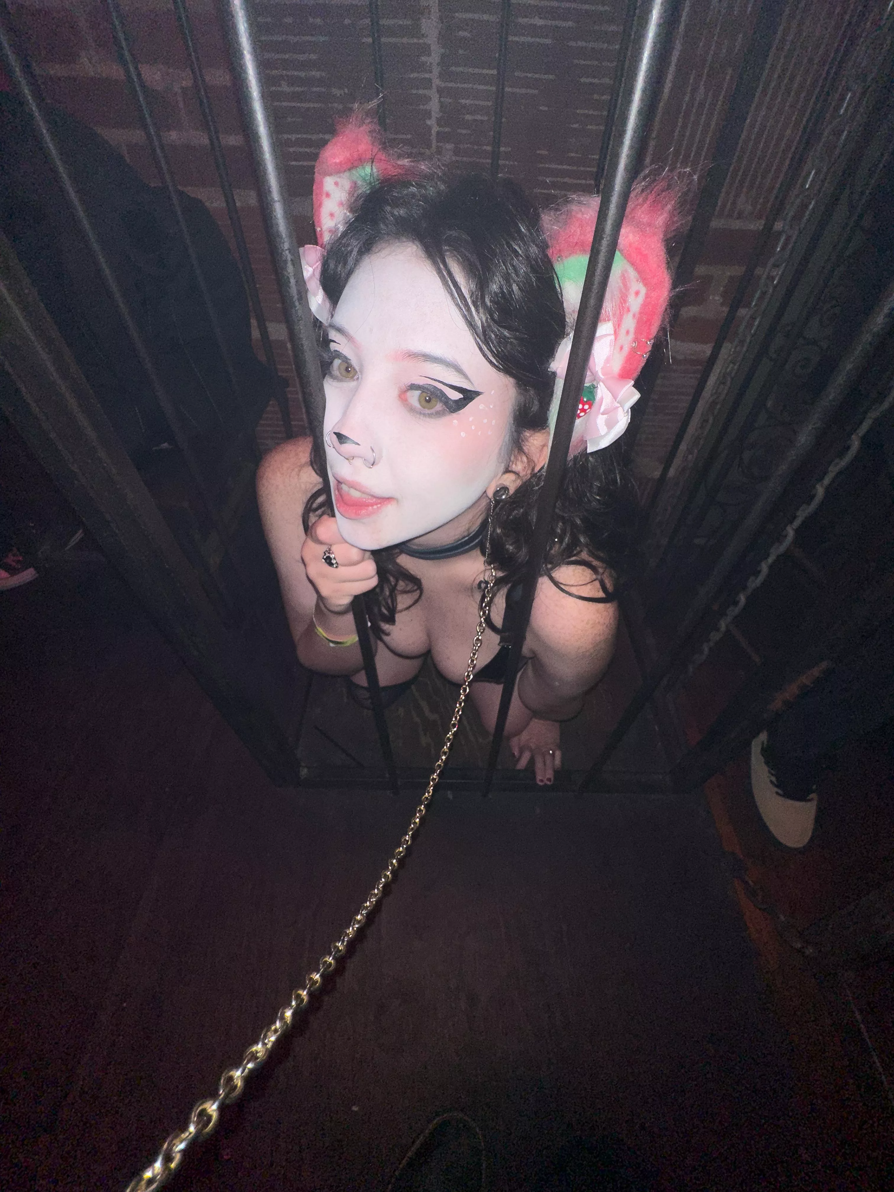 I swear I’ve been good let me out please!!