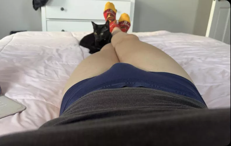 Just two kittens hanging out