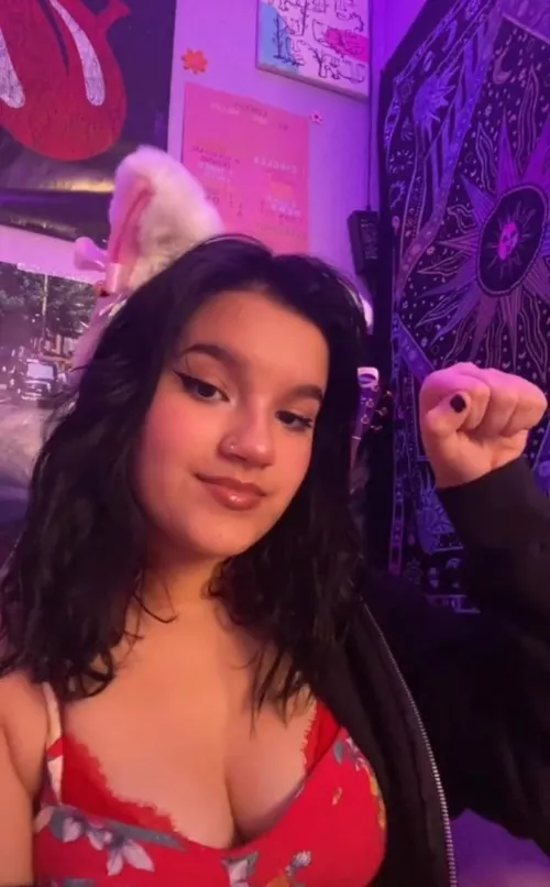 Kitty needs a joystick