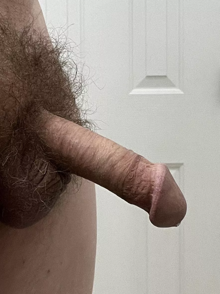 Lonely Cock