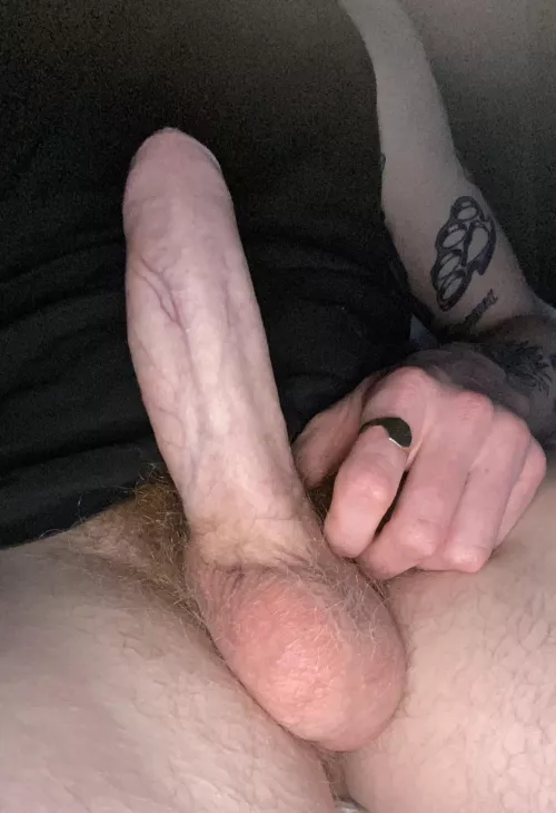M 4 F - Northern Suburbs 