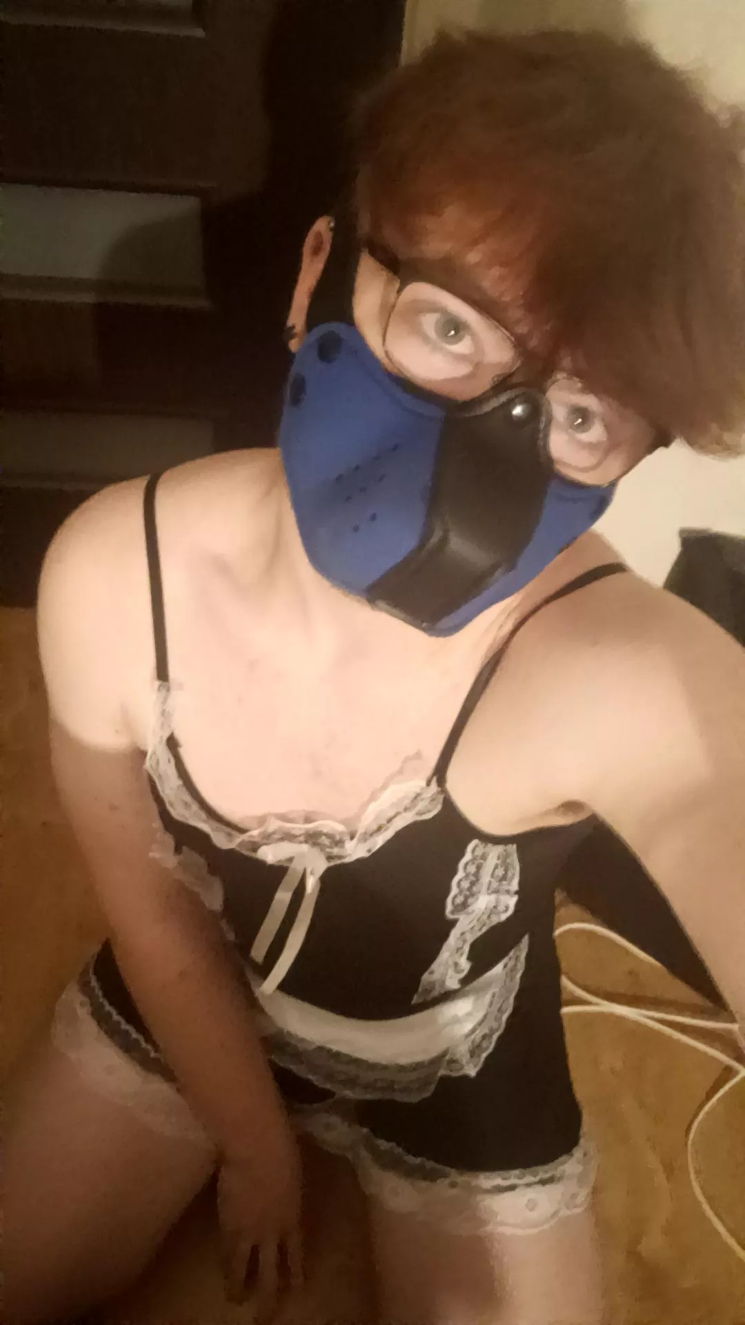 maid pup ready to serve sir 😊🐶 