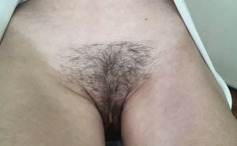 My bush is looking for new cocks 