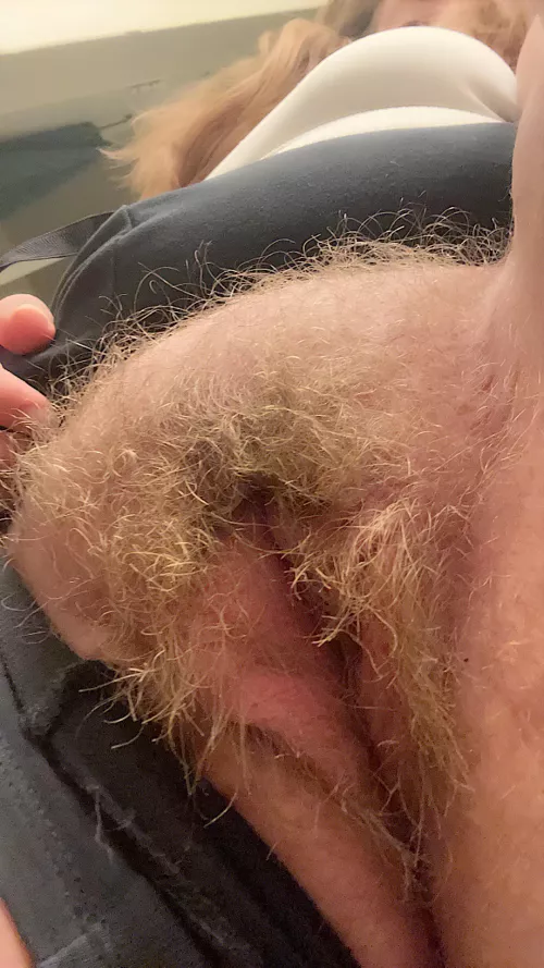 My Golden bush grows really fast 🤭