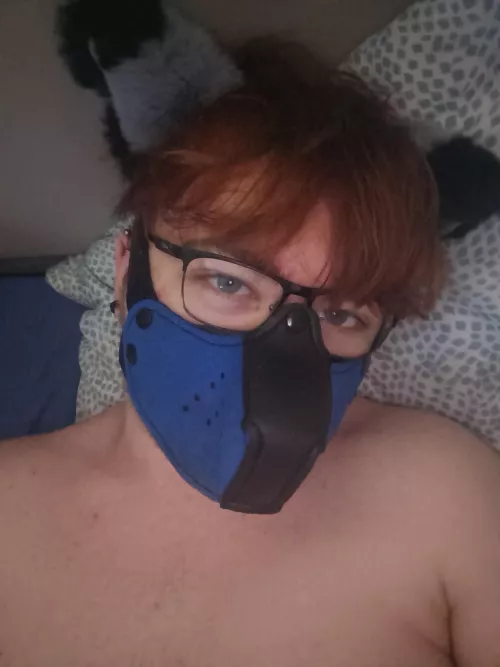 puppy eepy time 🐶 