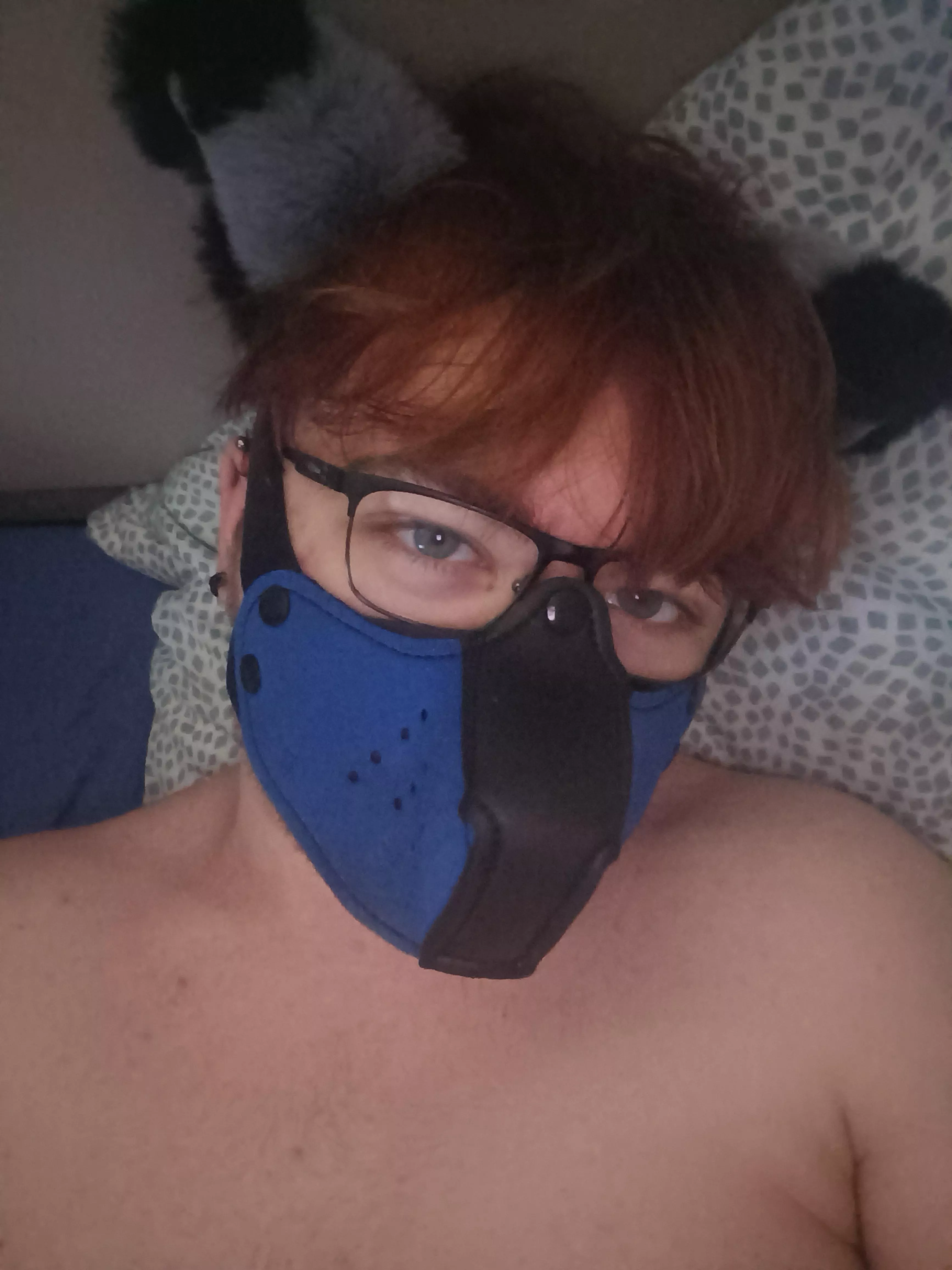 puppy eepy time 🐶 