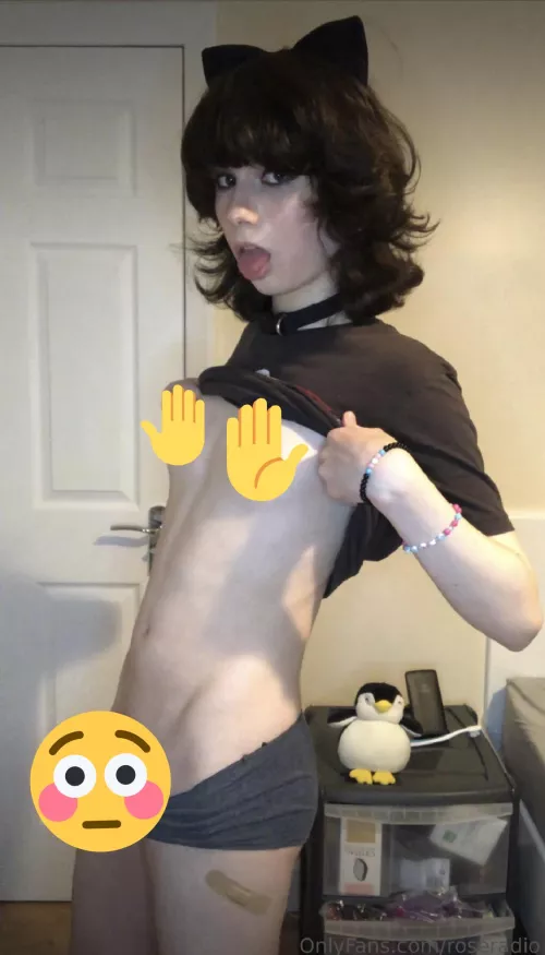 Puppy likes to show herself off :3