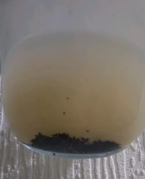 The wash colour last time from a different brand that did have some effects, but mild. It didn't taste too bitter though.