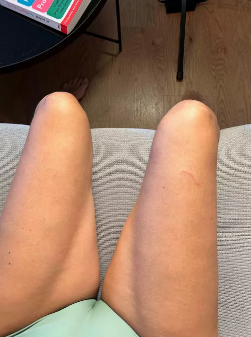 Try my cameltoe for dinner tonight