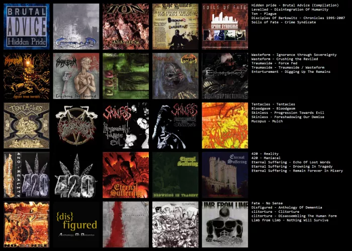 What are some bands, albums or songs that fit into this groove focused sound? Also missing the band 