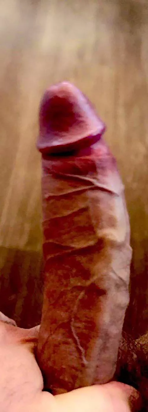 23cm BWC in JHB …. Ladies??