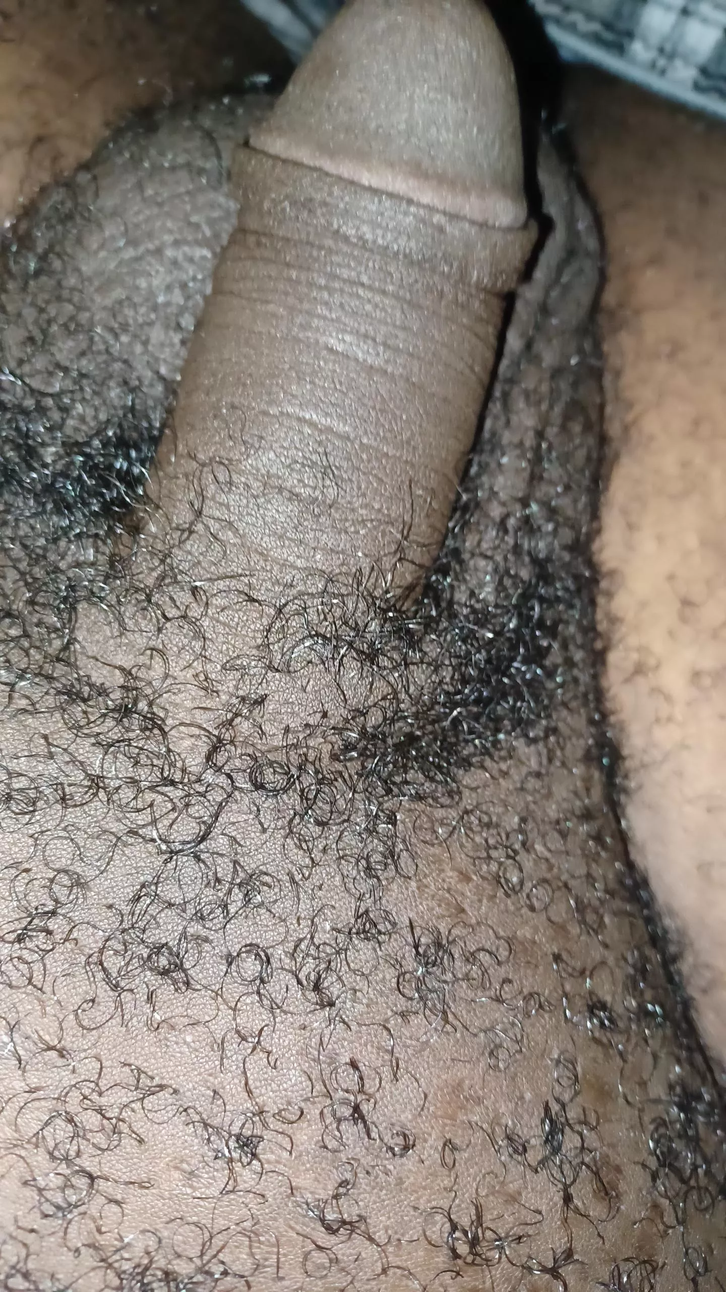 Any chocolate fans??