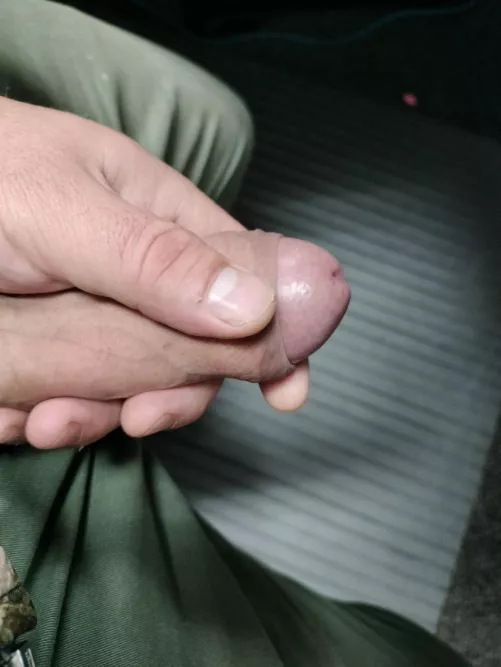 Anyone want some cock?