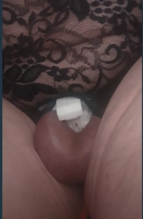 CK Innie TTS and Innie Invader